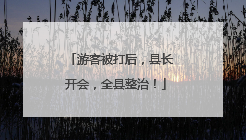 游客被打后，县长开会，全县整治！